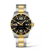 Load image into Gallery viewer, Hydroconquest Quartz watch L3.740.3.56.7
