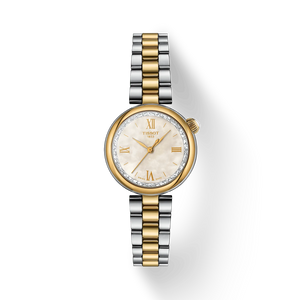 Tissot Desir T1520102211801